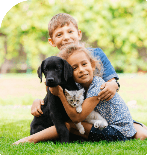 Consultas para cães e gatos 