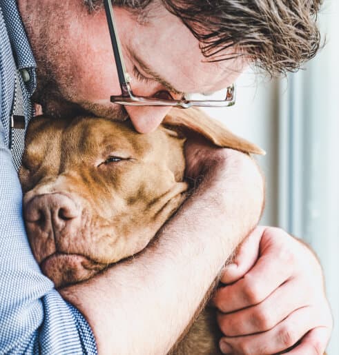 Serviço Fúnebre para cães e gatos