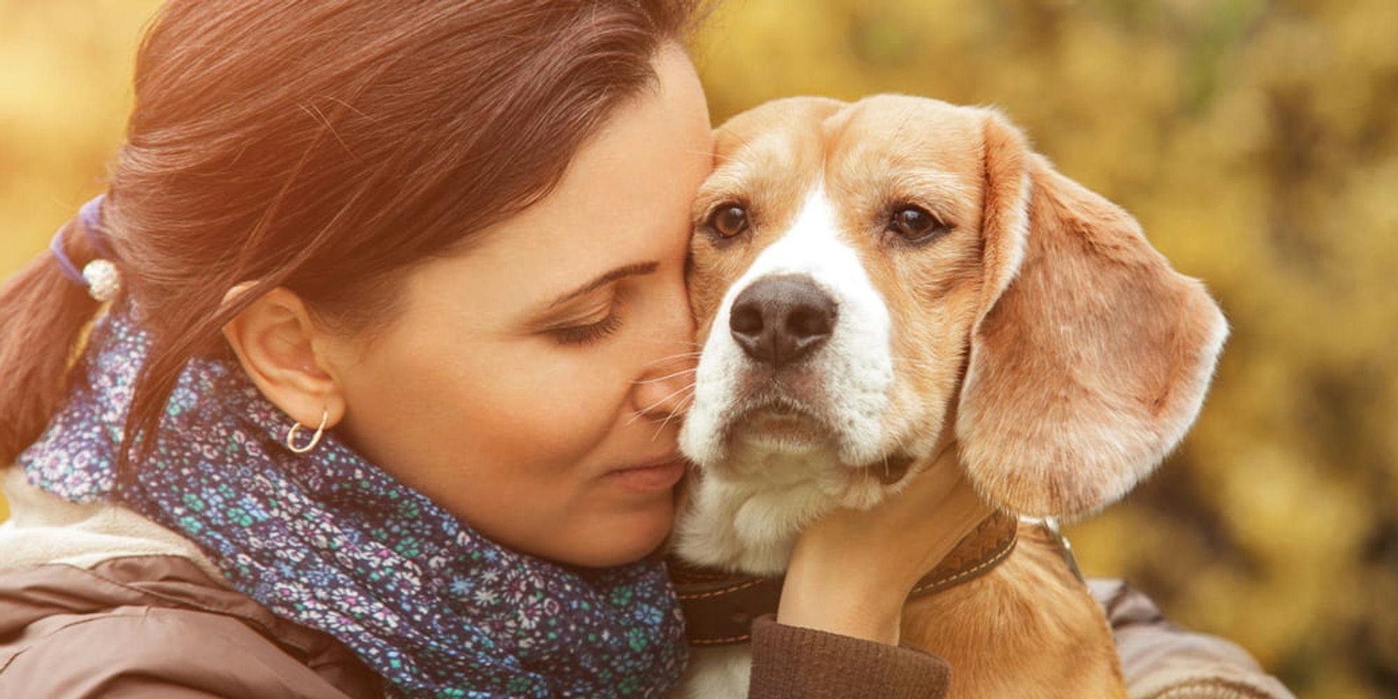 Cover Image for Antecipar o fim de vida: o que precisa de saber sobre a eutanásia em cães